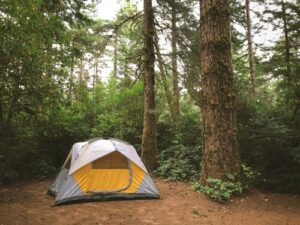 Happy Campers